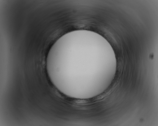 X0000103900085200809191105