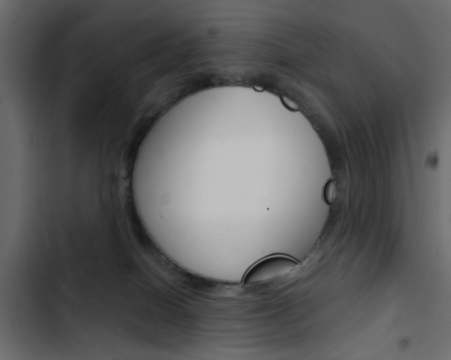 X0000103900086200809191105