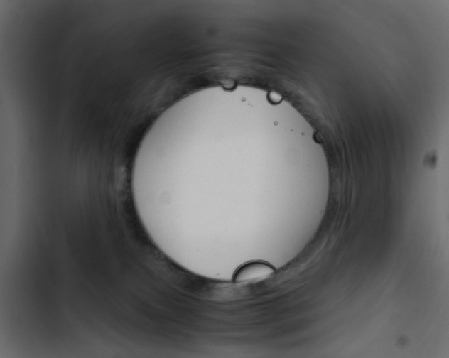 X0000103900087200809191105