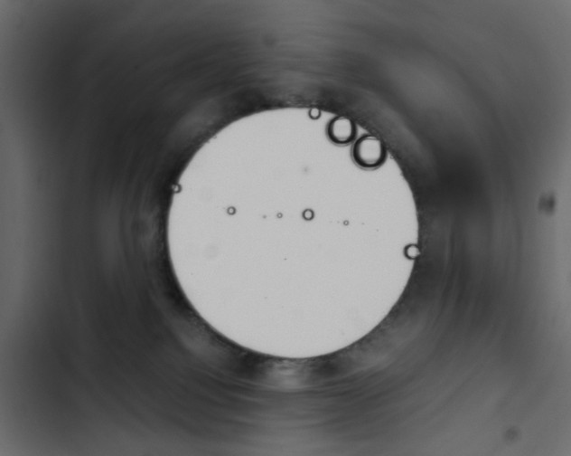X0000103900088200809191105