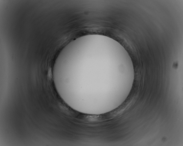 X0000103900089200809191105