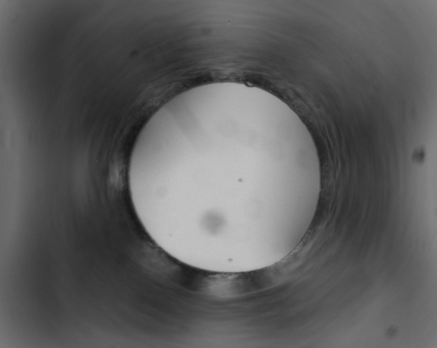 X0000103900090200809191105