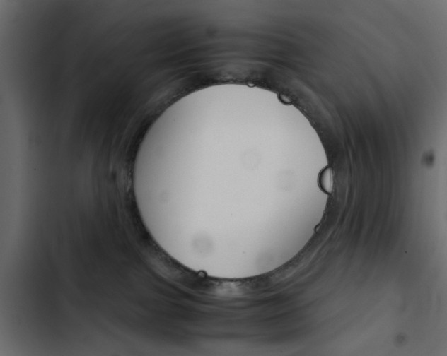 X0000103900091200809191105