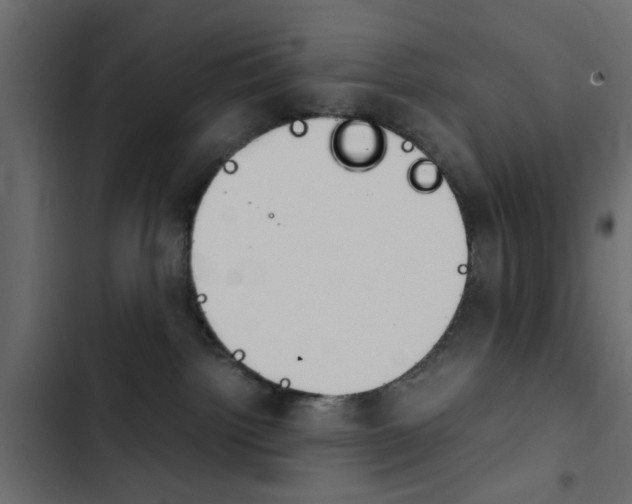 X0000103900092200809191105