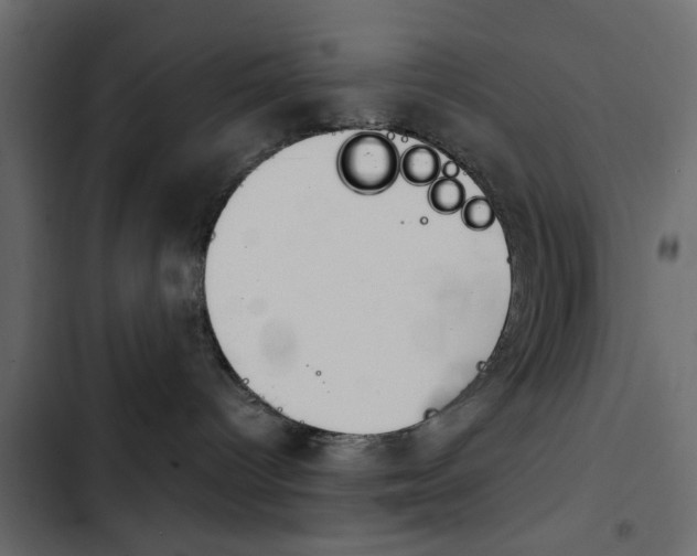 X0000103900096200809191106