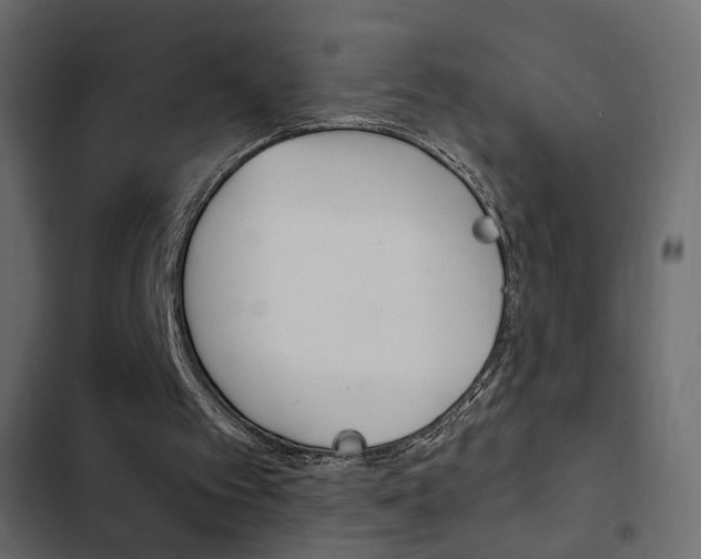 X0000103900097200809191105
