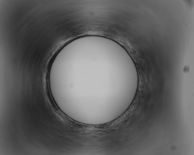 X0000103900098200809191105