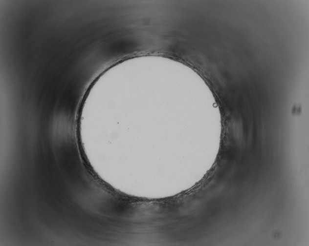 X0000103900100200809191104