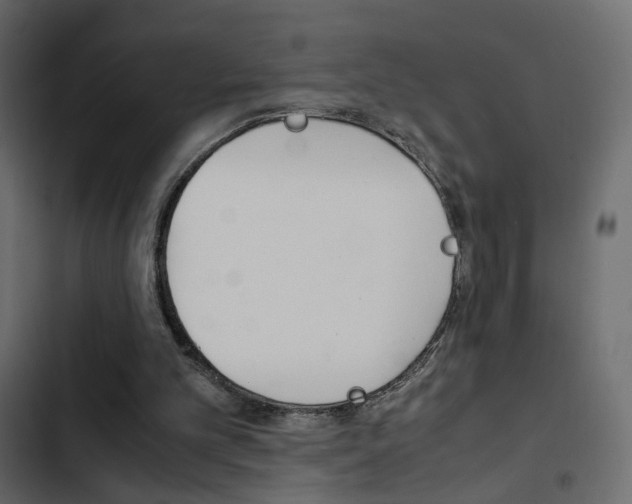 X0000103900101200809191104