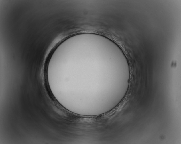 X0000103900102200809191104