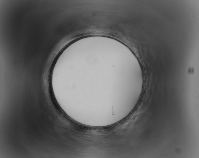 X0000103900103200809191104