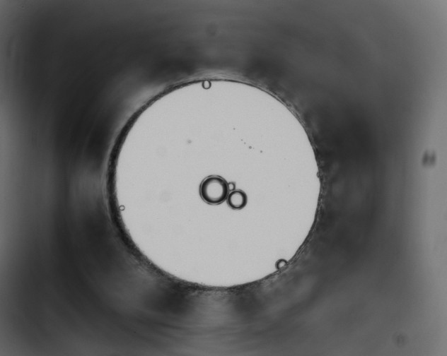 X0000103900104200809191104