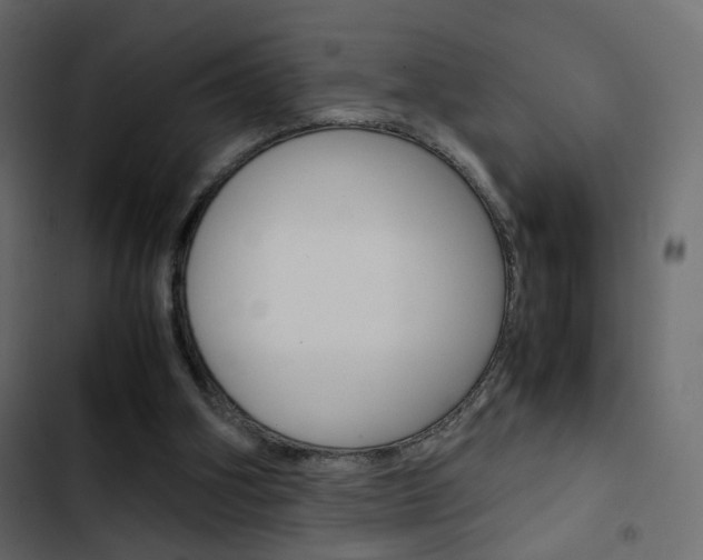 X0000103900106200809191104