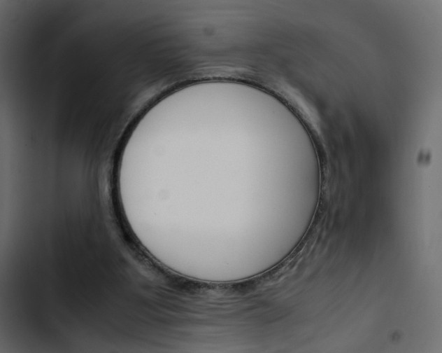 X0000103900107200809191104