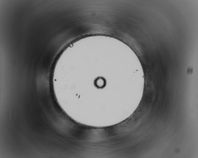 X0000103900108200809191104