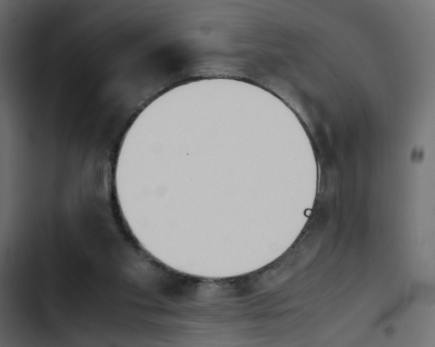 X0000103900109200809191104