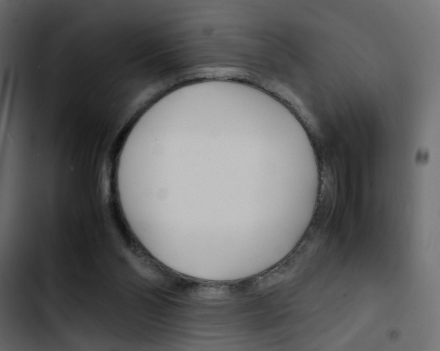 X0000103900110200809191104