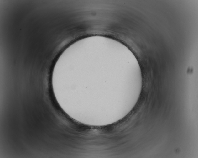 X0000103900111200809191104