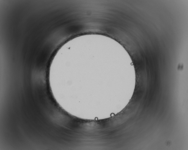 X0000103900112200809191104