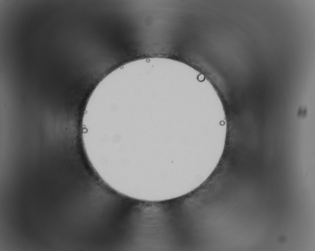 X0000103900113200809191104