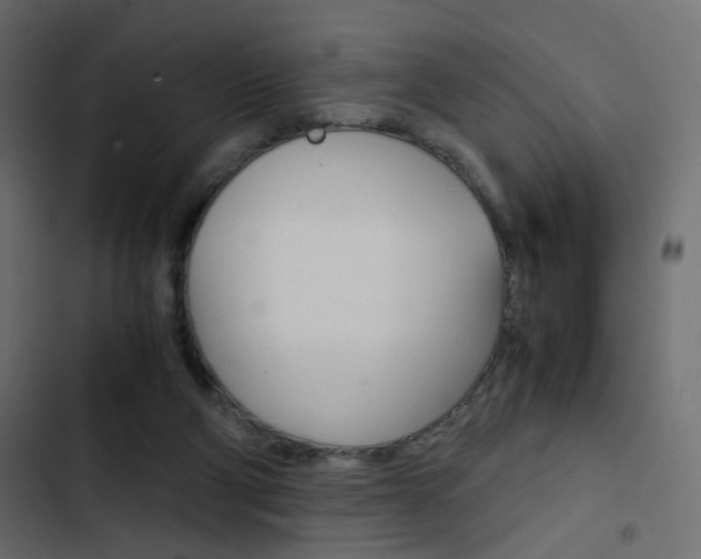 X0000103900114200809191104