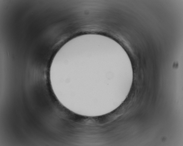 X0000103900115200809191104