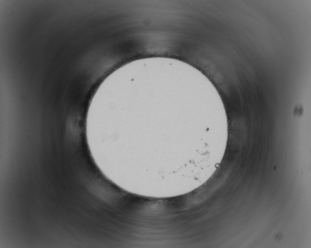 X0000103900116200809191104