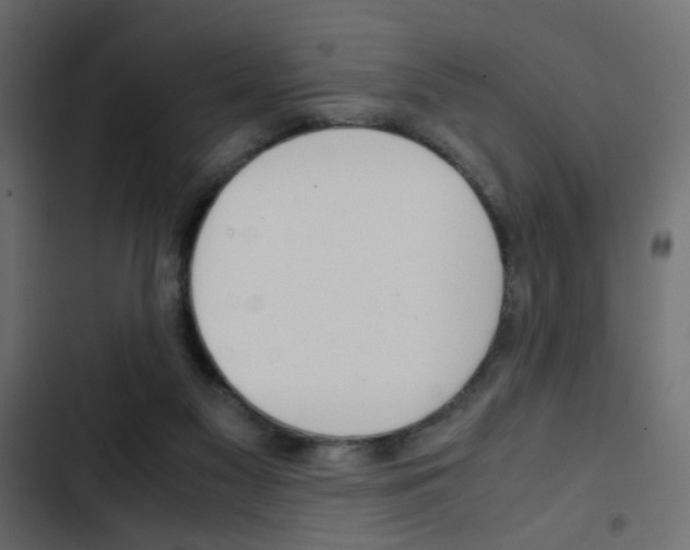 X0000103900117200809191104