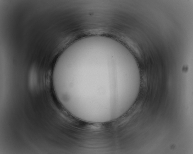 X0000103900118200809191104