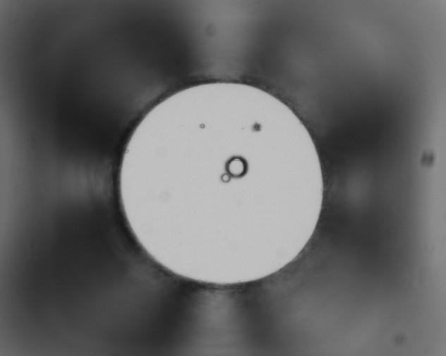 X0000103900120200809191104