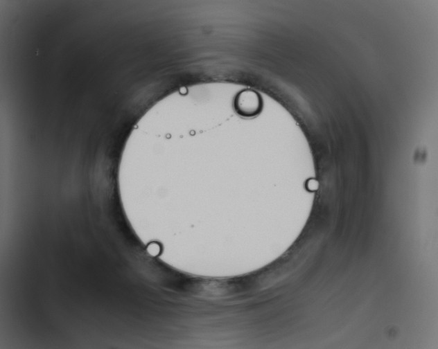 X0000103900121200809191104