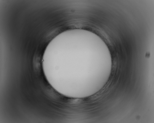 X0000103900122200809191104