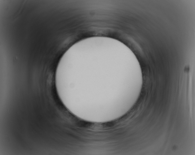 X0000103900123200809191104