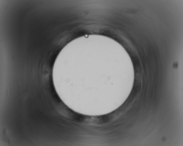 X0000103900125200809191104