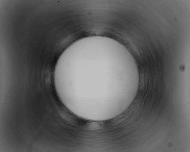 X0000103900126200809191104