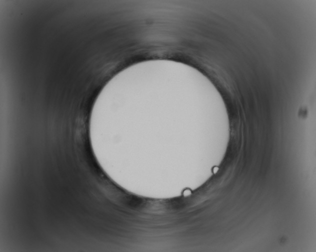 X0000103900127200809191104