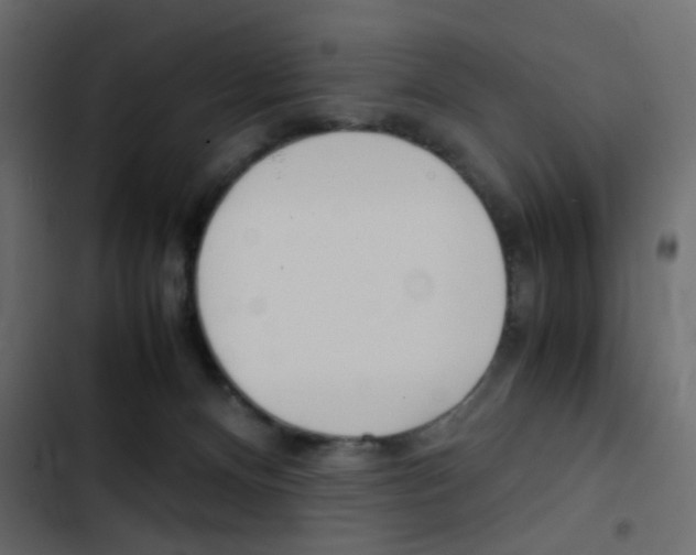 X0000103900128200809191104