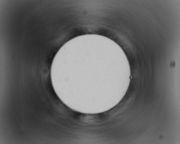 X0000103900129200809191104