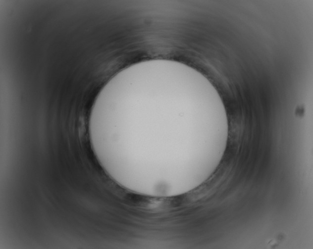 X0000103900130200809191104