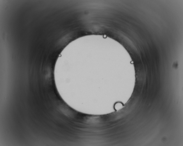 X0000103900132200809191104