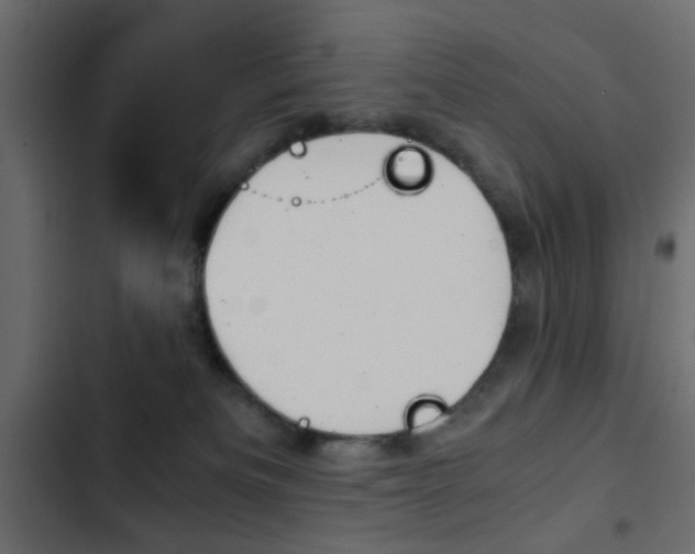 X0000103900133200809191104
