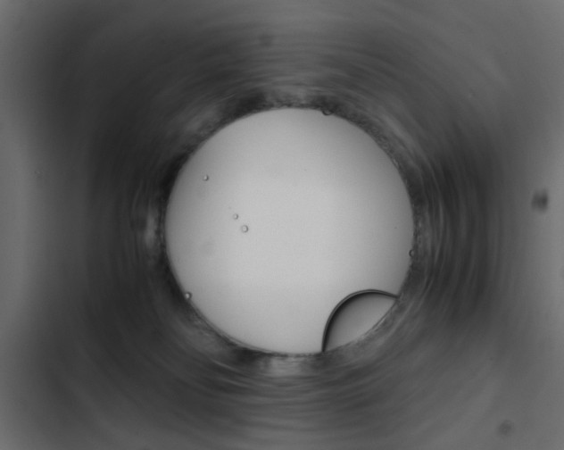 X0000103900134200809191104