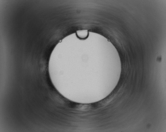 X0000103900135200809191104