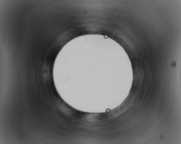 X0000103900136200809191104