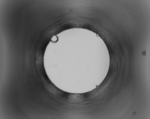 X0000103900137200809191104