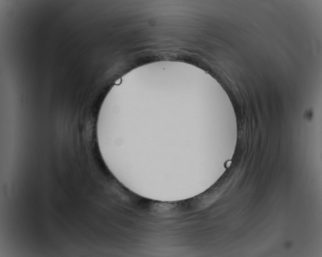 X0000103900139200809191104