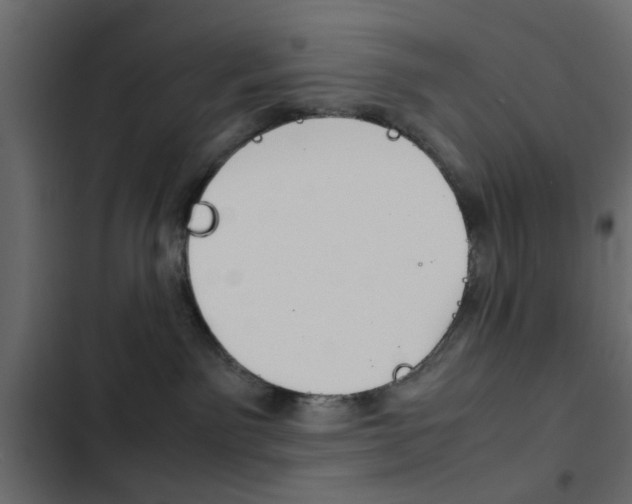 X0000103900141200809191104
