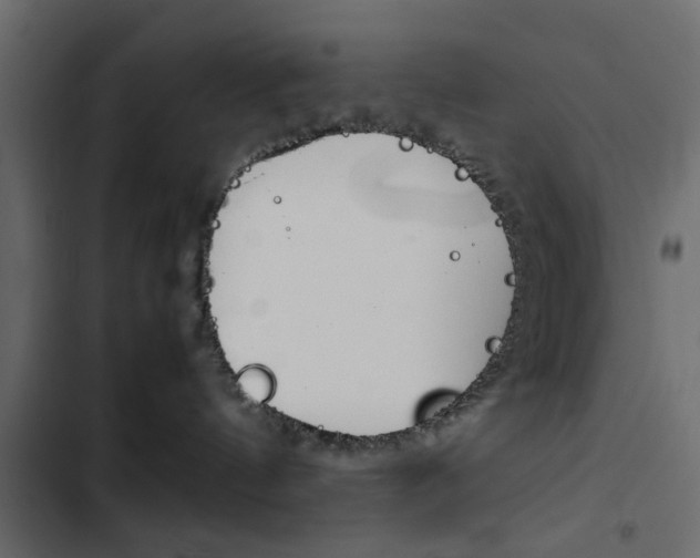 X0000103900144200809191104