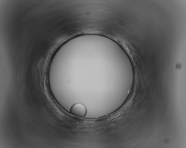 X0000103900145200809191103