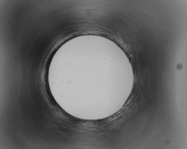 X0000103900146200809191103